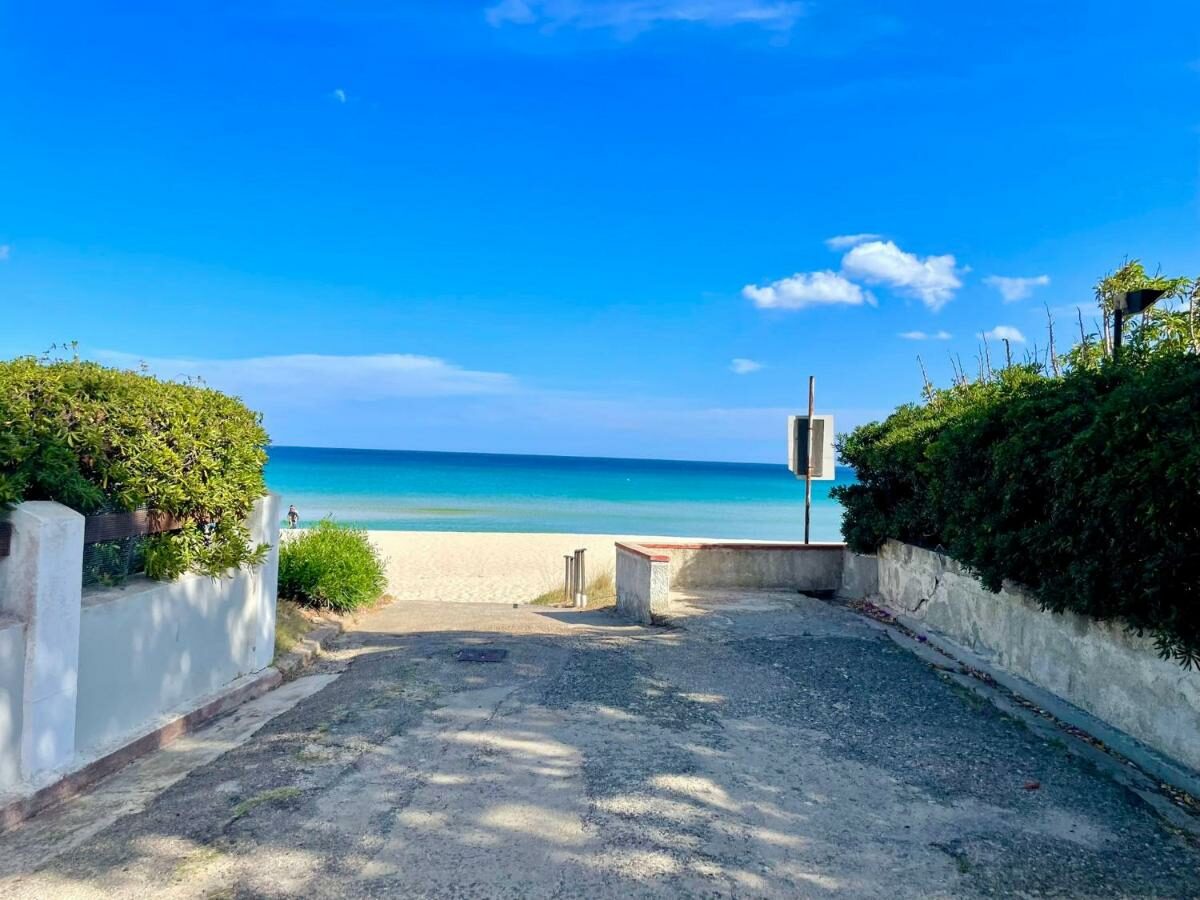 Il viale alberato che dal comprensorio scende alla spiaggia